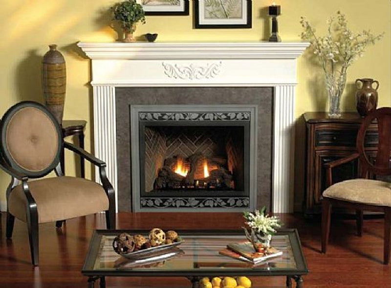 Empire Comfort Systems Premium 36" Direct-Vent Multi-Function Control Fireplace - DVP36FP91