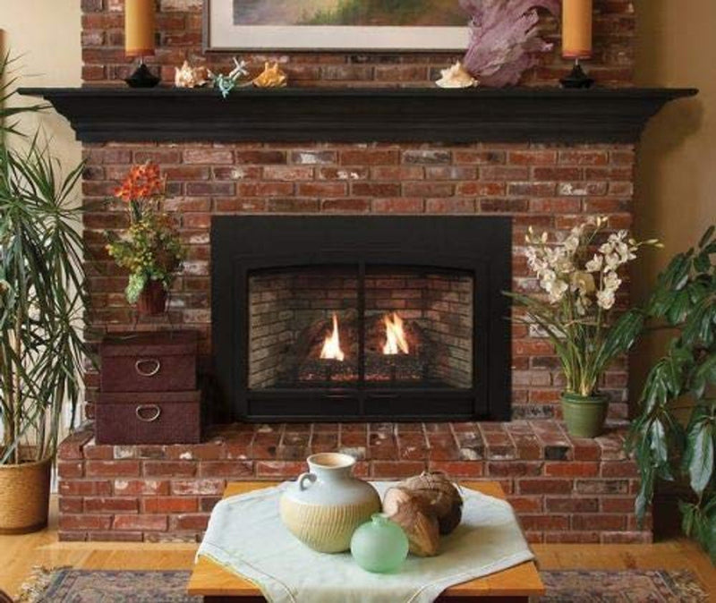 Empire Innsbrook Small Direct-Vent Clean Face MV Fireplace Insert - DVC20IN31